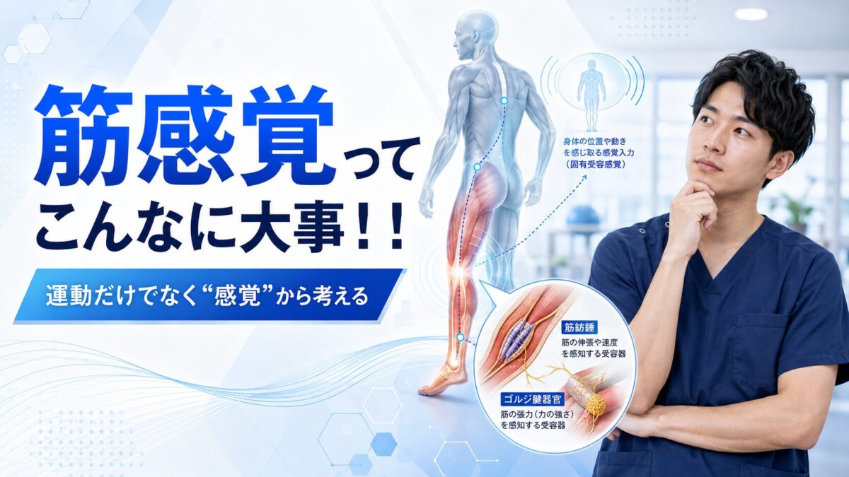 筋感覚
