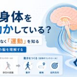 脳は身体をどう動かしている？
