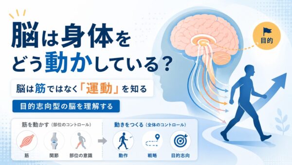 脳は身体をどう動かしている？